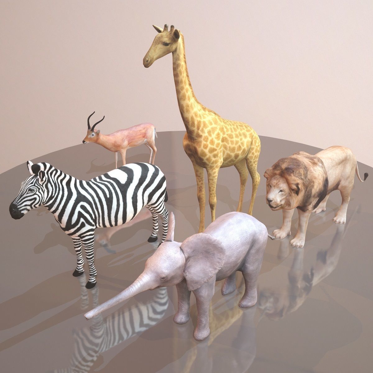 5 Rigged African Safari Animals Collection Low-poly 3D model_29