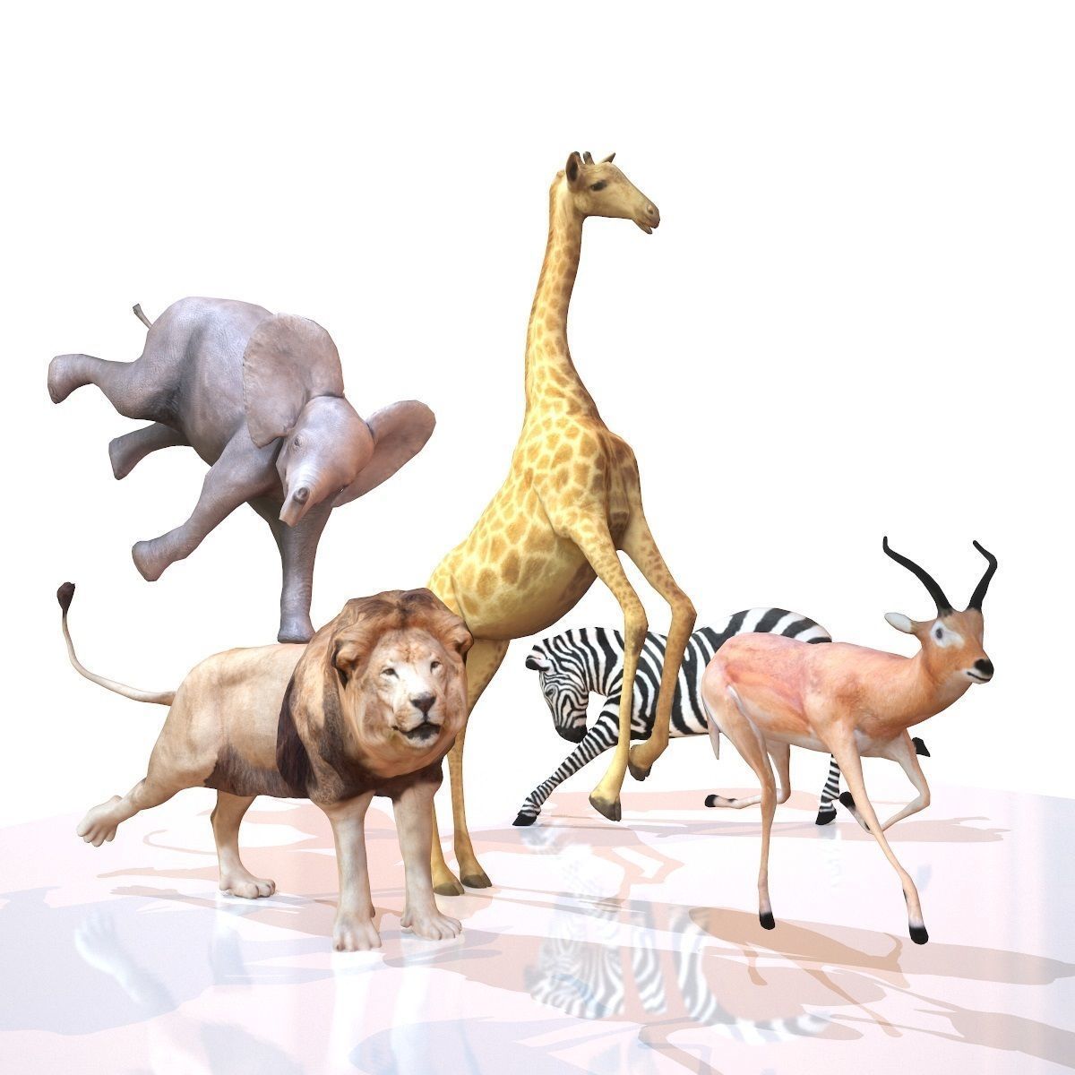 5 Rigged African Safari Animals Collection Low-poly 3D model_1