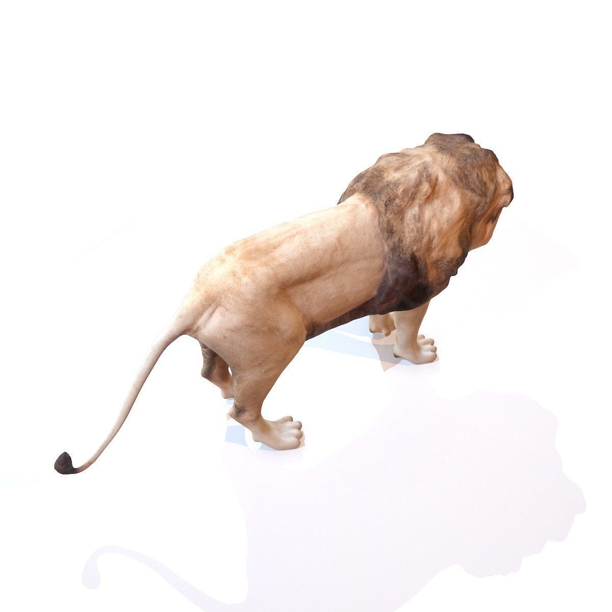 5 Rigged African Safari Animals Collection Low-poly 3D model_19