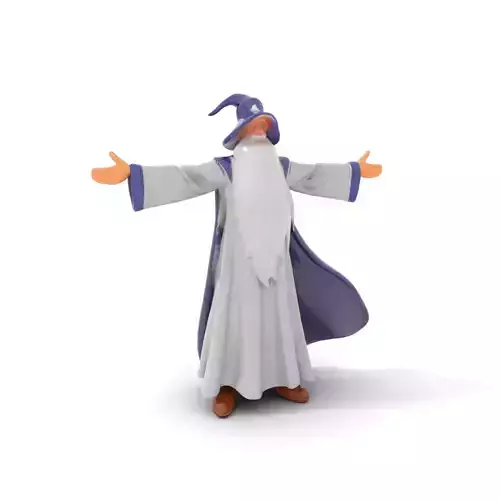 Wizard Character Model Pack with Magical Attire Low-poly 3D model