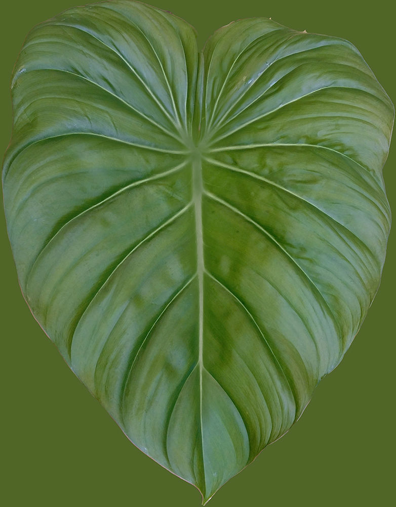 West elm media console 3D model_9