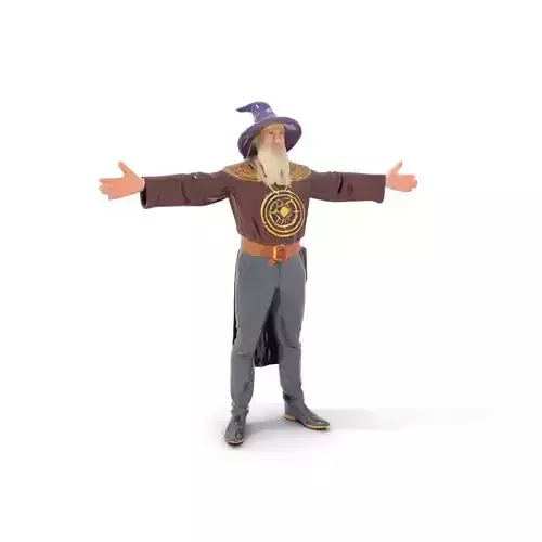 Wizard Character Model Pack with Iconic Purple Hat Low-poly 3D model