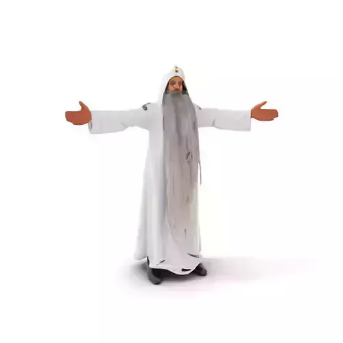 Wizard Character Model Pack with Flowing Robes and Beard Low-poly 3D model