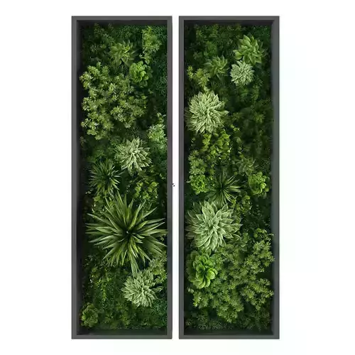Vertical garden 266