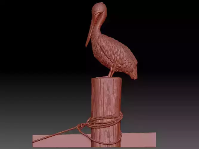 Pelican