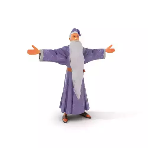 Wizard Character Model Pack with Detailed Robes and Beard