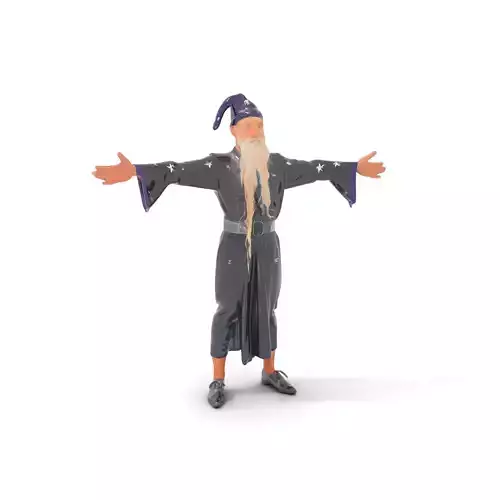 Wizard Character Model Pack with Detailed Textures