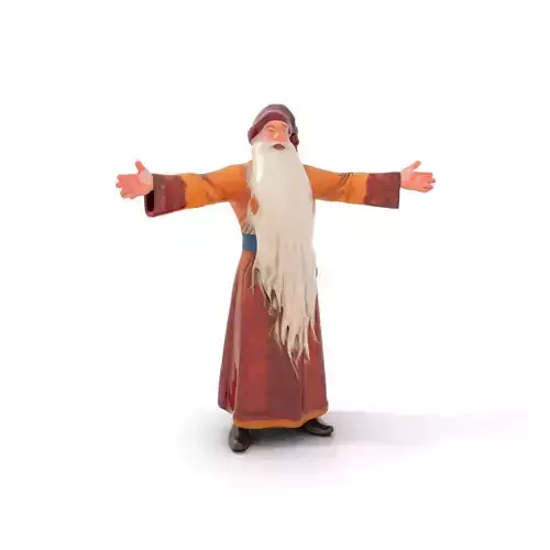 Wizard Character Model Pack with Long Beard and Robe
