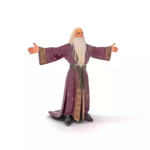 Wizard Character Model Pack with Purple Robe