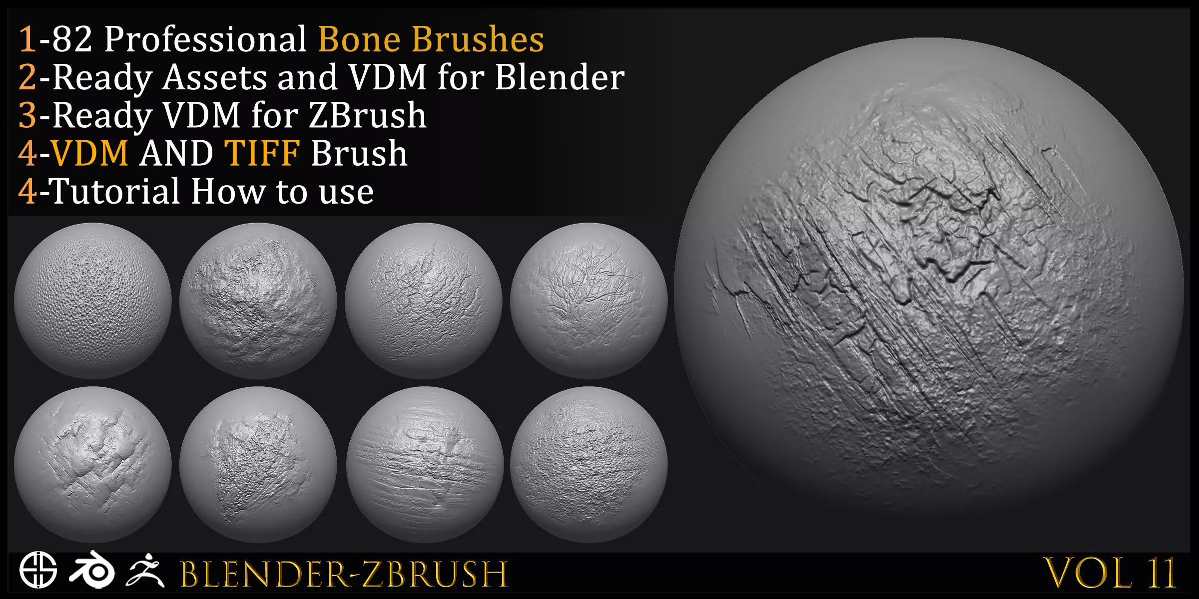 Bone Brush-Blender vdm-Zbrush VDM 3D model_3