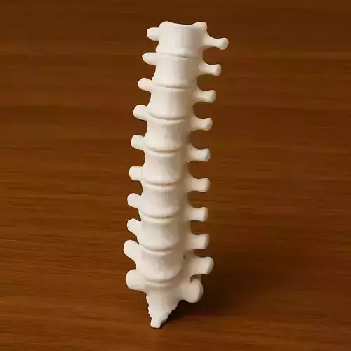 Spine Halloween 3D print model Spine Halloween 3D print model