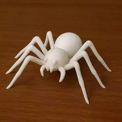 Spider