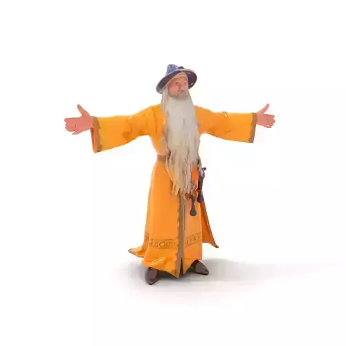 Wizard Character Model Pack with Vibrant Yellow Robe