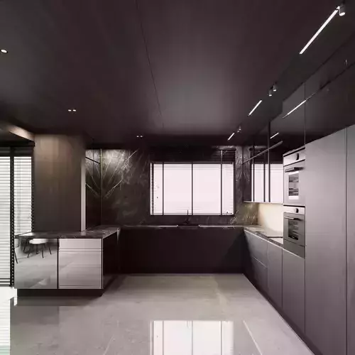 Modern Livingroom -Kitchen Design