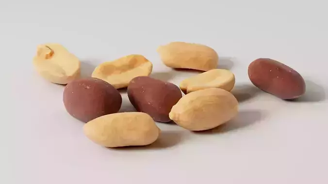 Peanuts 3D Model