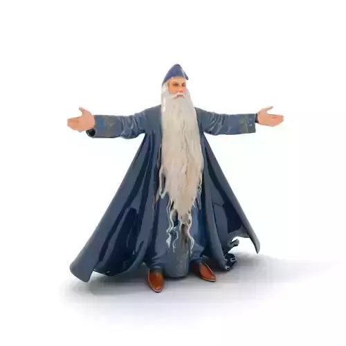 Wizard Character Model Pack with Flowing Beard Low-poly 3D model