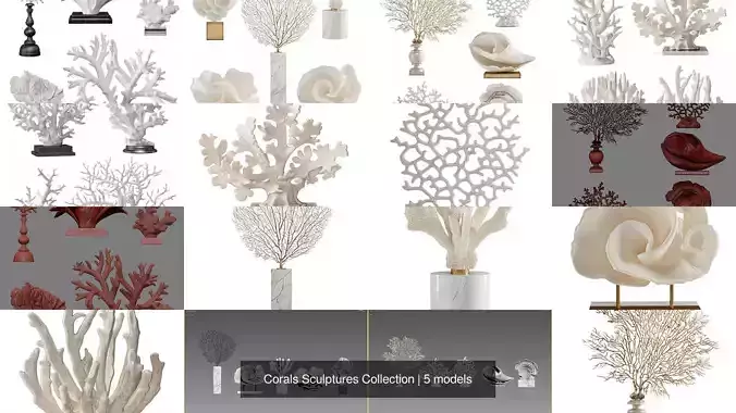 Corals Sculptures Collection