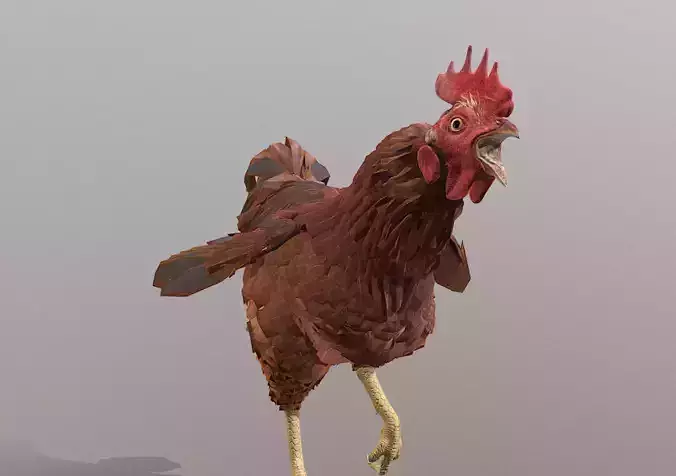 Angry Rooster CHICKEN RUNNING