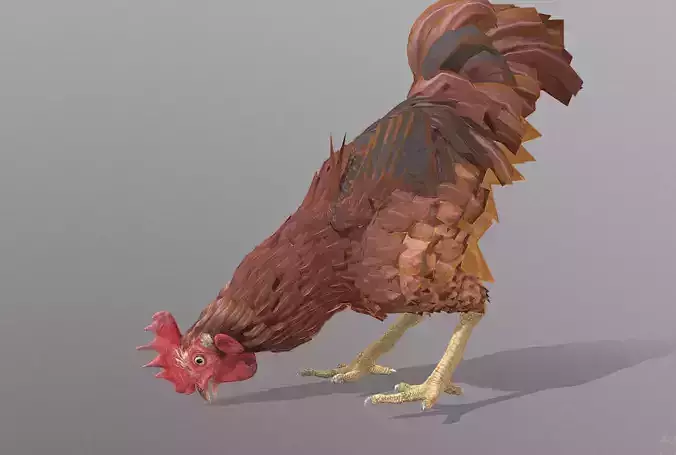 Eating Rooster CHICKEN PECKING Food