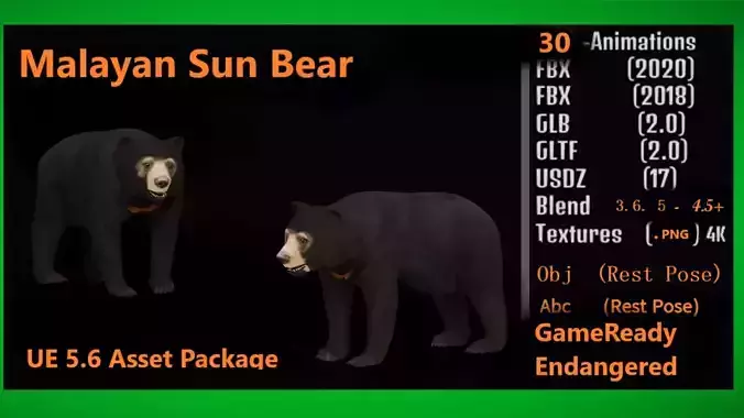 Malayan Sun Bear Low-poly 3D model