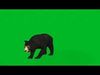 Malayan Sun Bear Low-poly 3D model_1