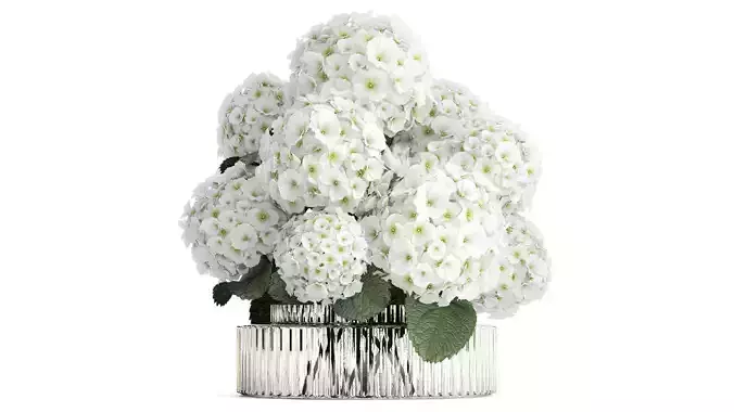 Beautiful  bouquet decoration glass vase white hydrangea 603