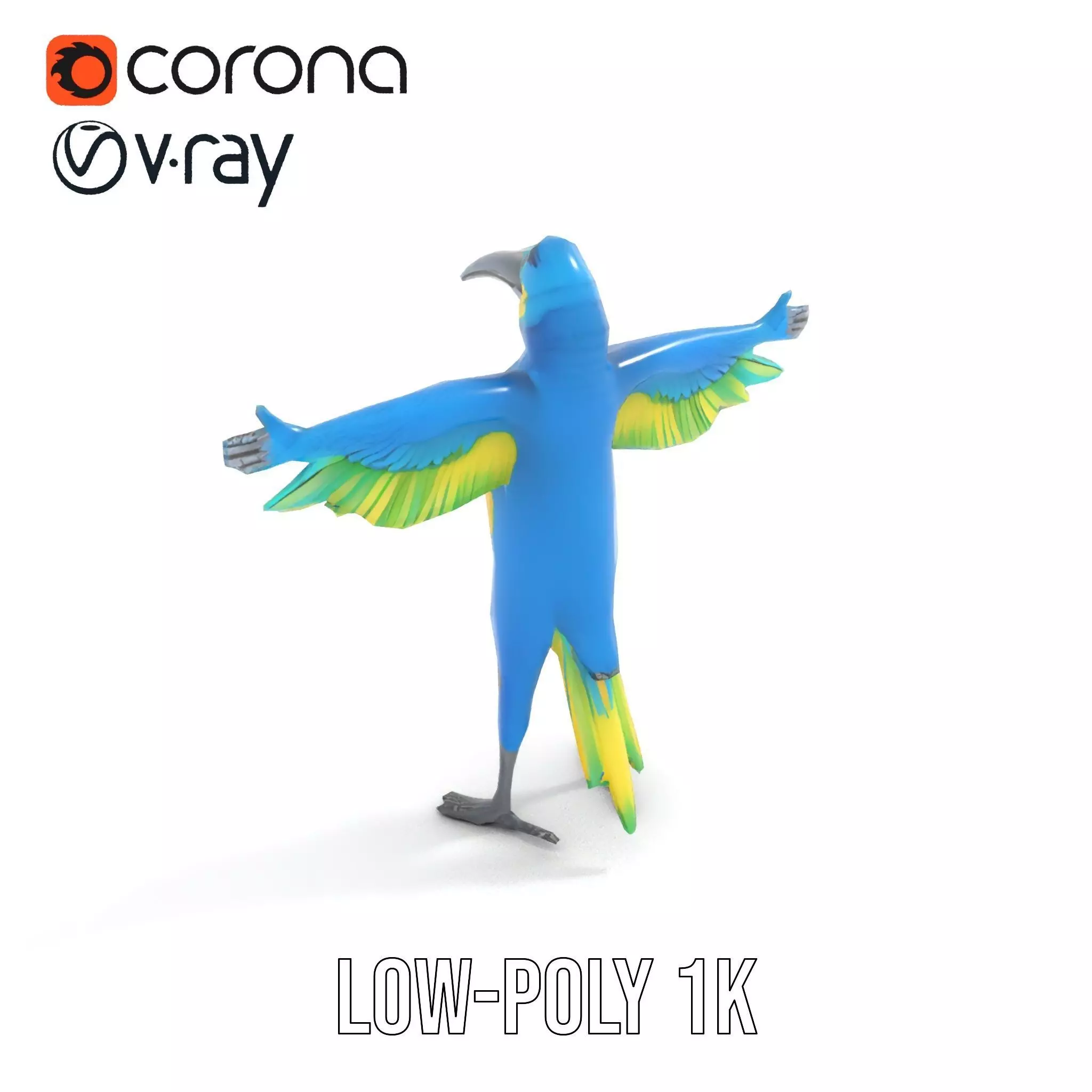 Cartoon Parrot Character Model Pack Low-poly 3D model_7