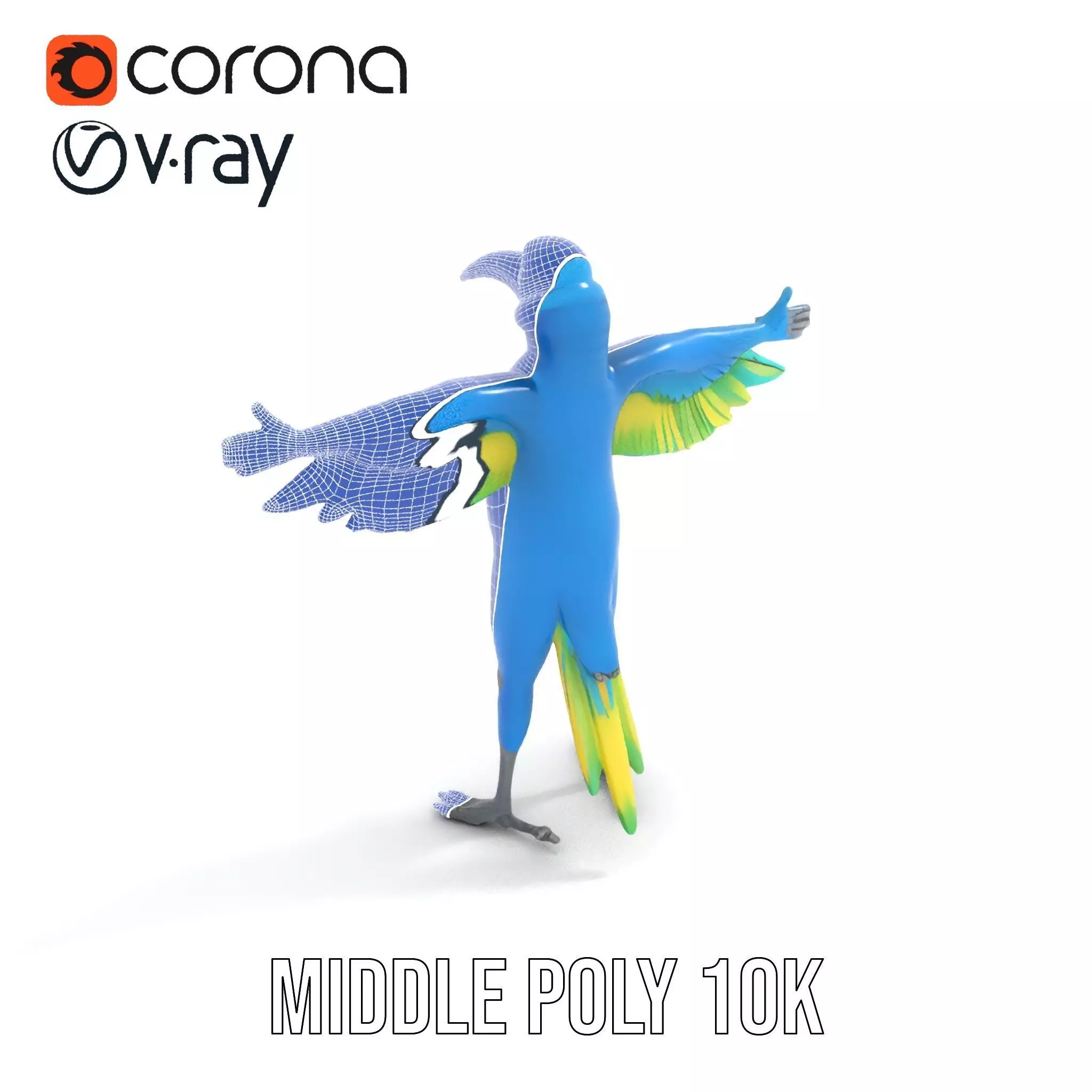 Cartoon Parrot Character Model Pack Low-poly 3D model_12
