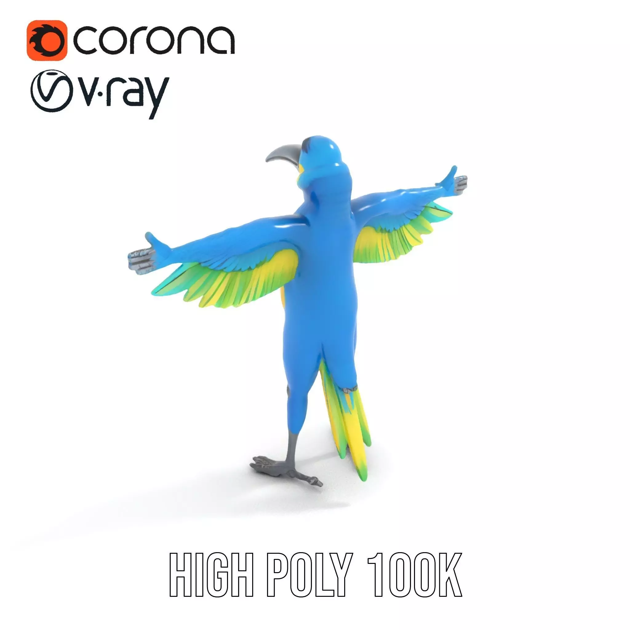 Cartoon Parrot Character Model Pack Low-poly 3D model_11