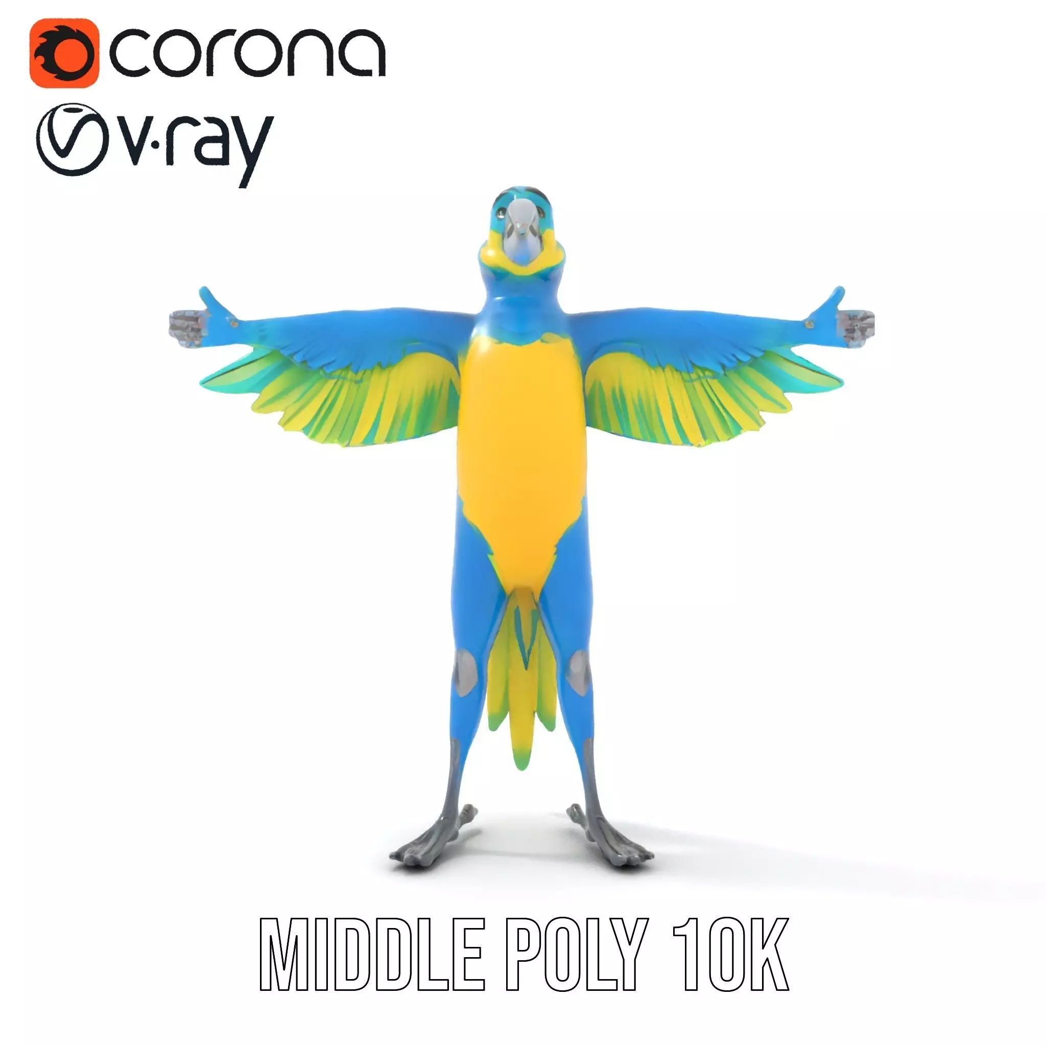 Cartoon Parrot Character Model Pack Low-poly 3D model_5