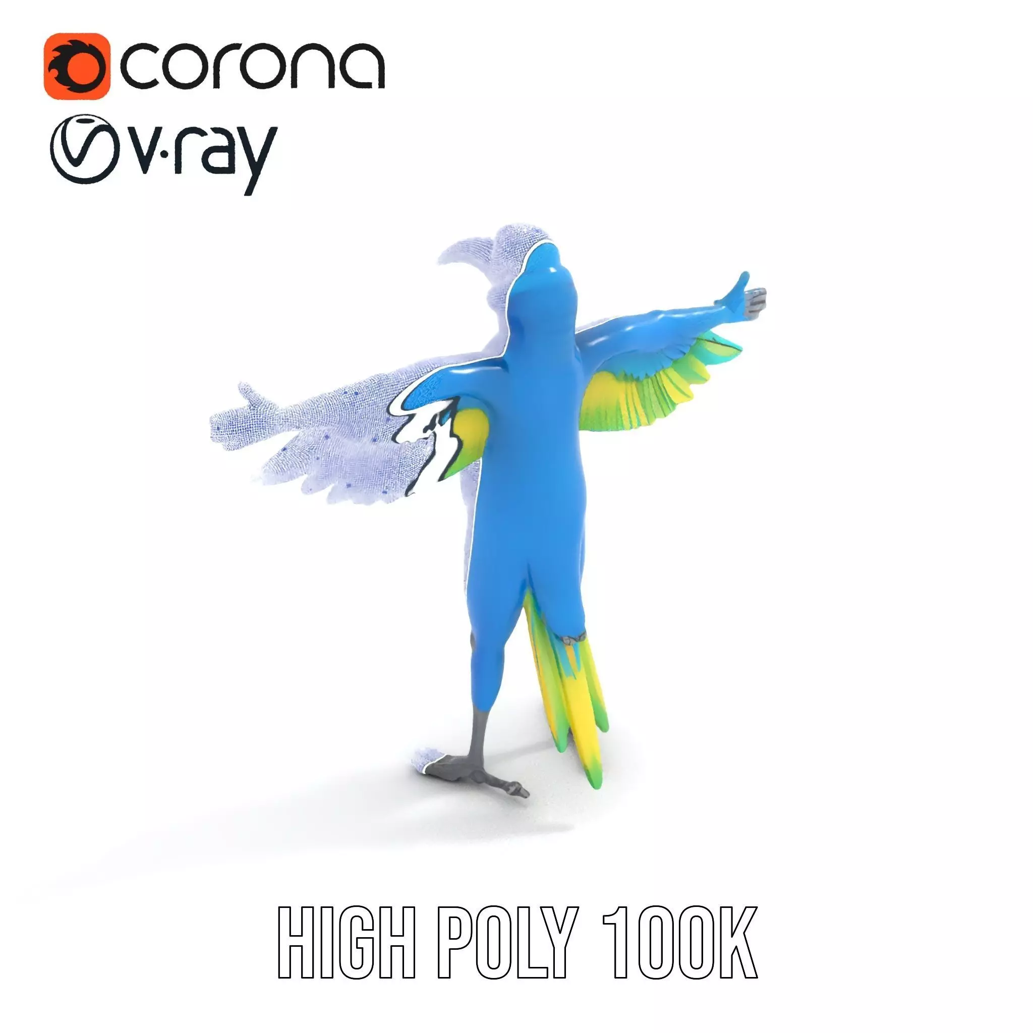 Cartoon Parrot Character Model Pack Low-poly 3D model_19