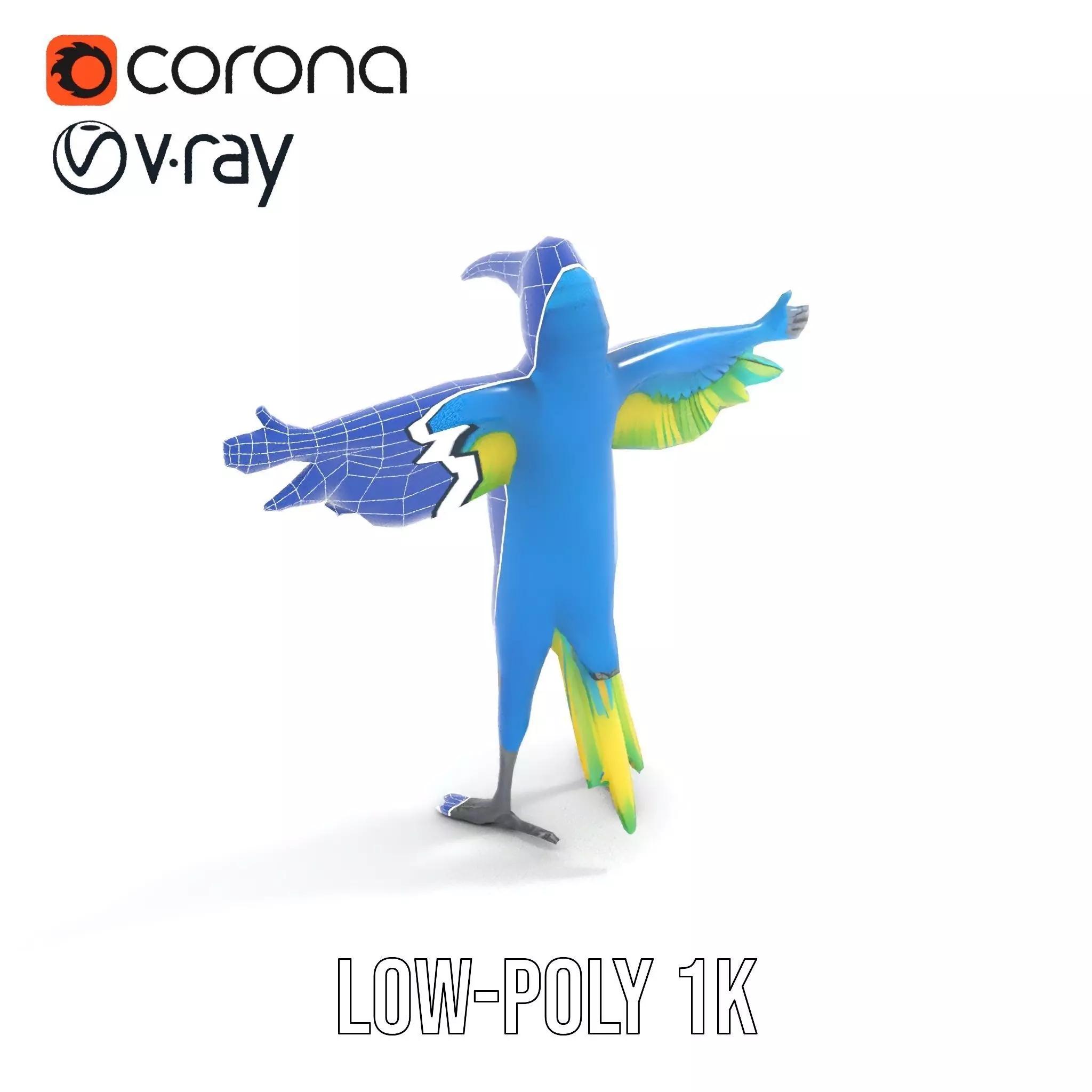 Cartoon Parrot Character Model Pack Low-poly 3D model_8
