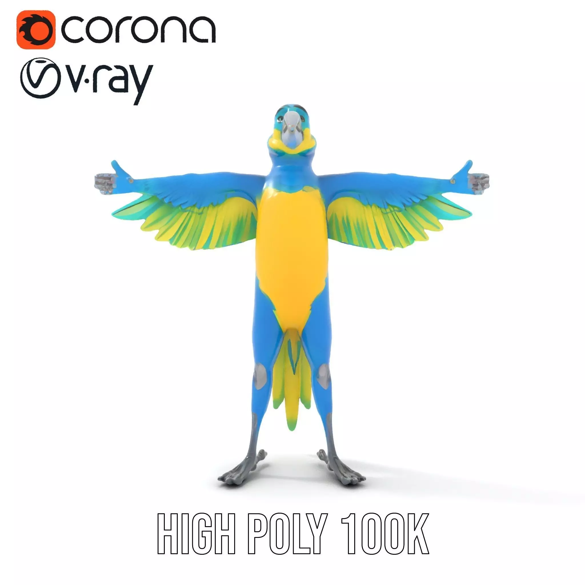 Cartoon Parrot Character Model Pack Low-poly 3D model_25