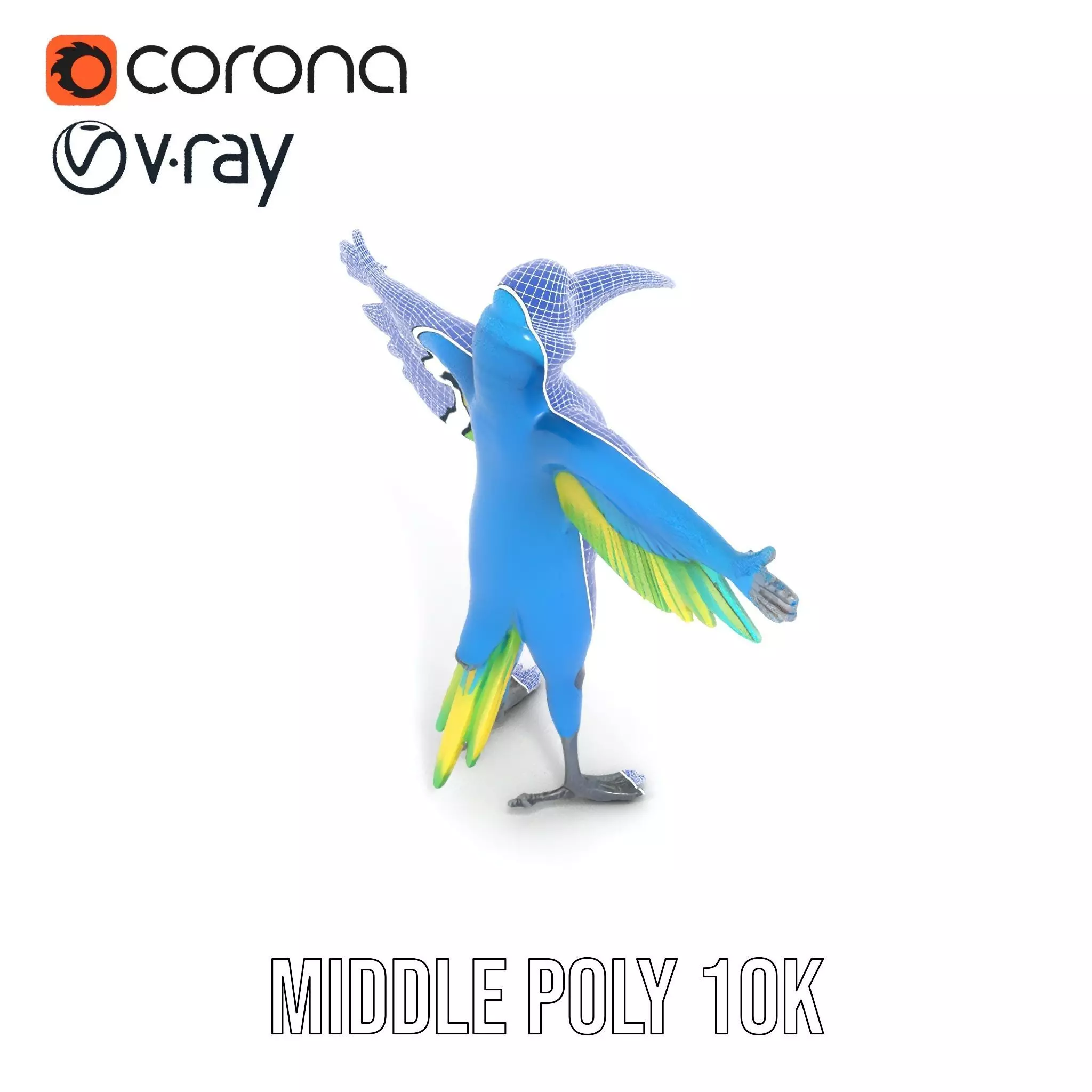 Cartoon Parrot Character Model Pack Low-poly 3D model_20