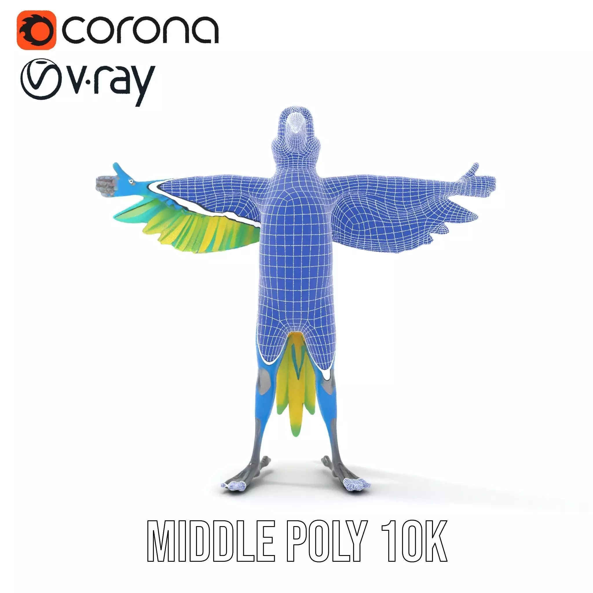 Cartoon Parrot Character Model Pack Low-poly 3D model_26