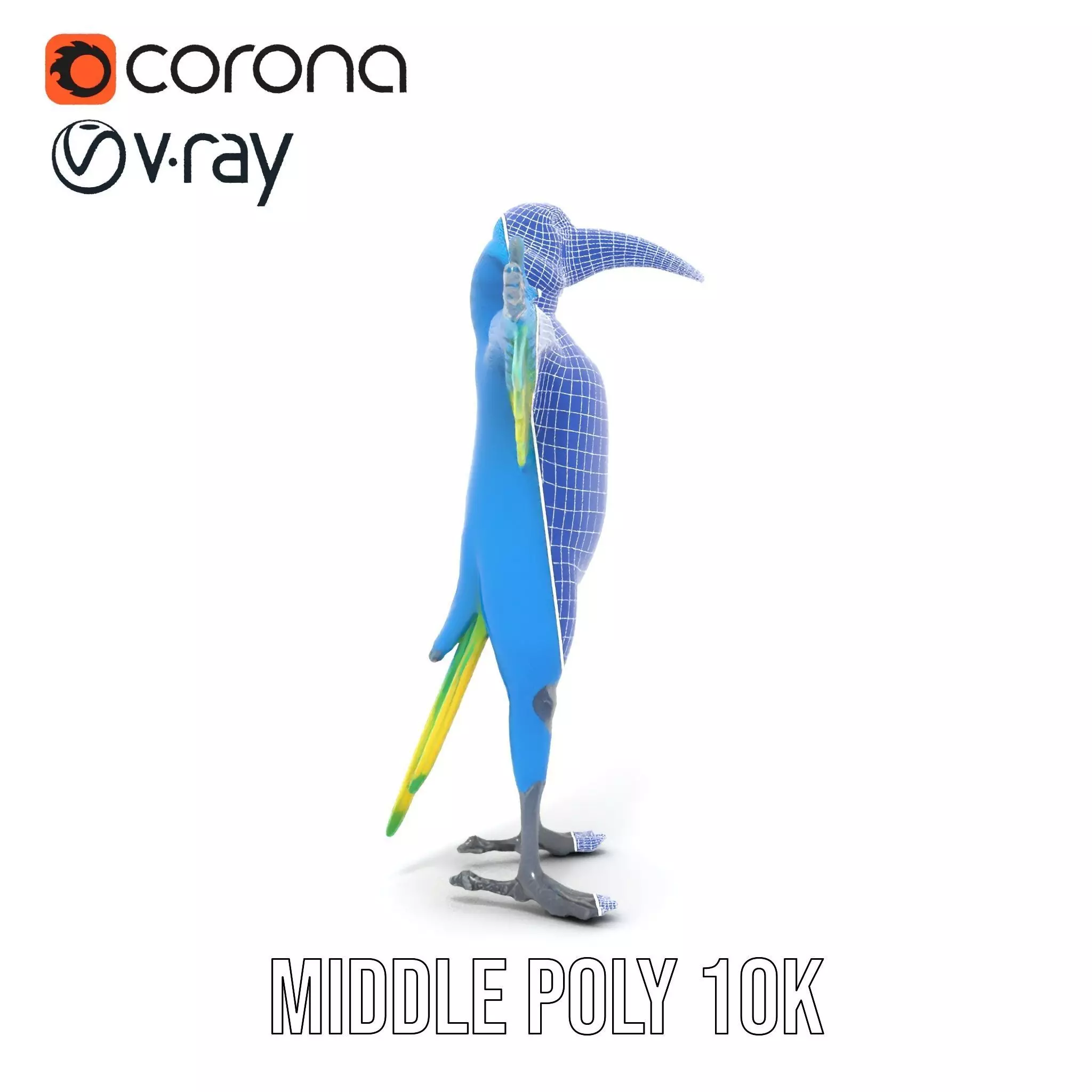 Cartoon Parrot Character Model Pack Low-poly 3D model_29