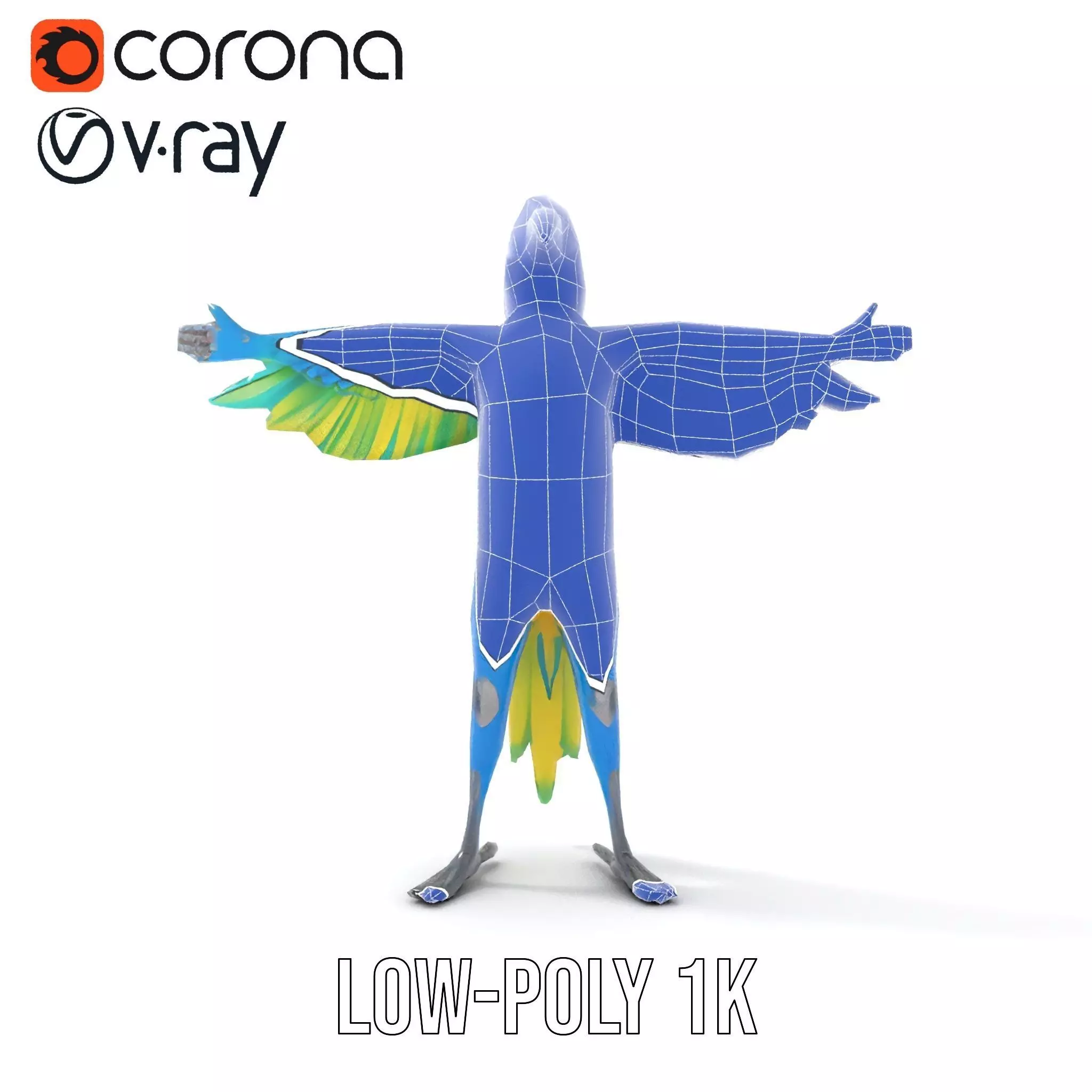 Cartoon Parrot Character Model Pack Low-poly 3D model_15