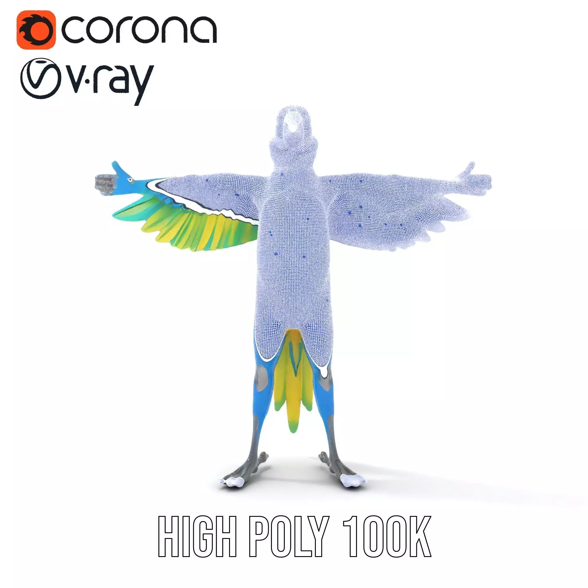 Cartoon Parrot Character Model Pack Low-poly 3D model_33