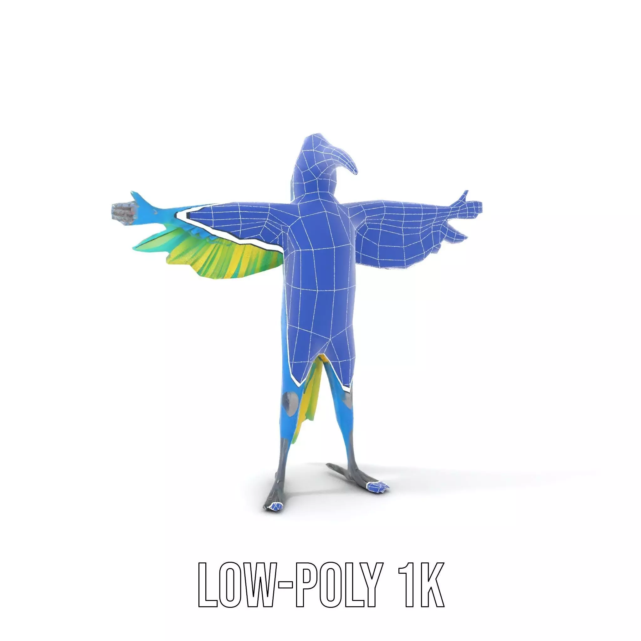 Cartoon Parrot Character Model Pack Low-poly 3D model_21