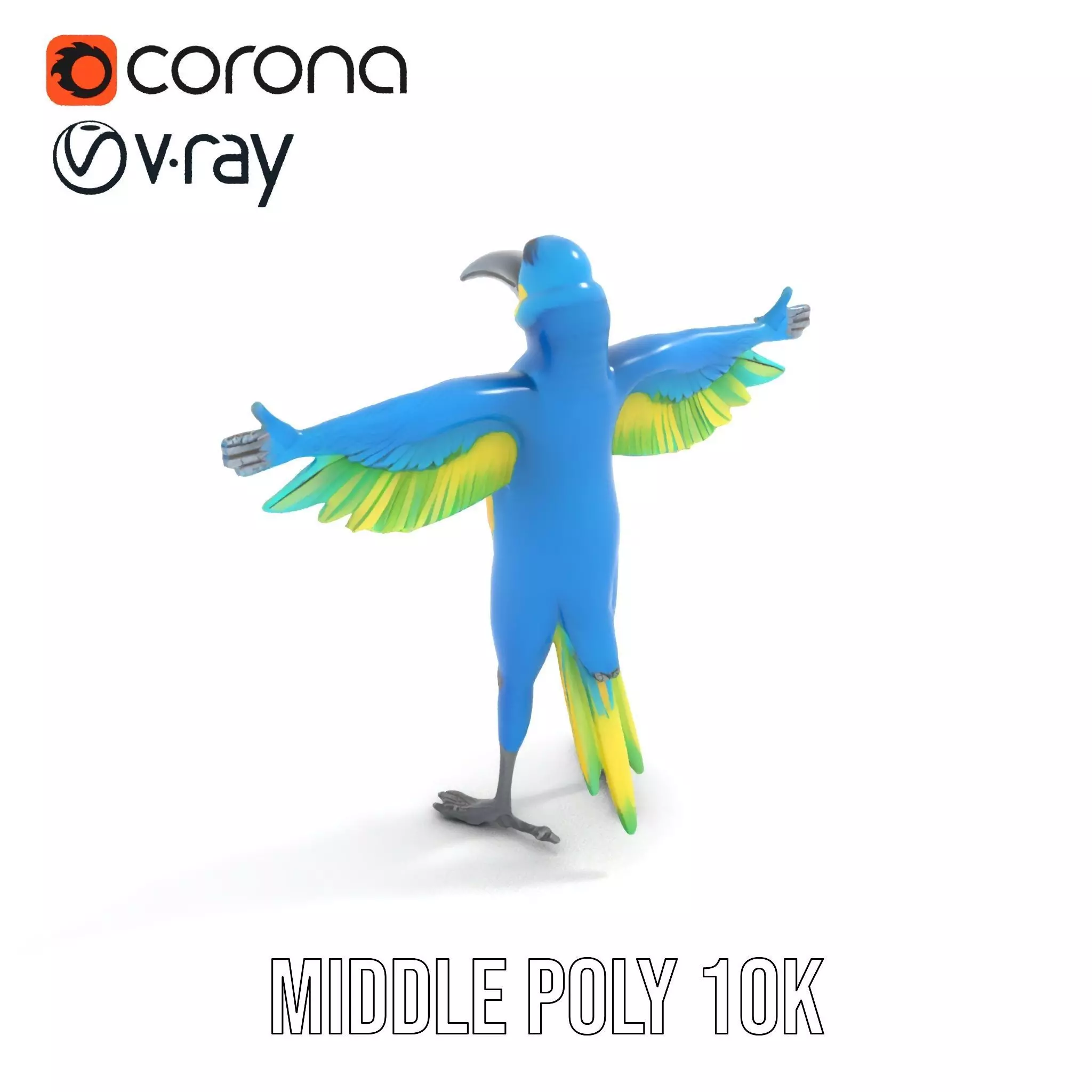 Cartoon Parrot Character Model Pack Low-poly 3D model_6