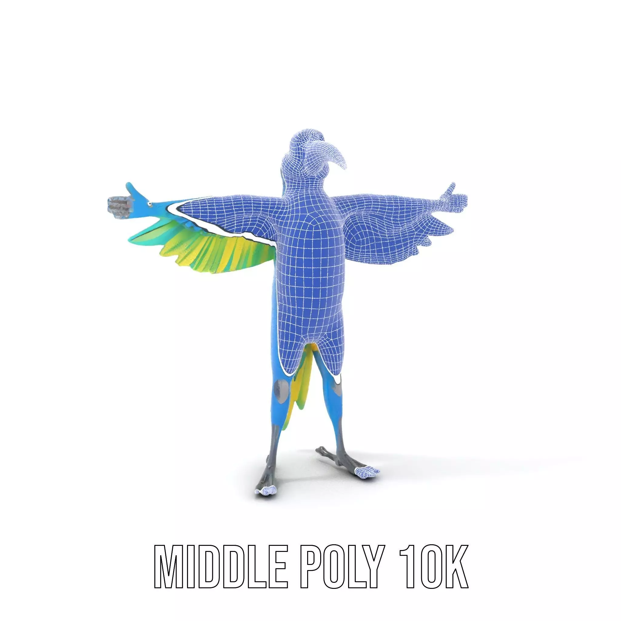 Cartoon Parrot Character Model Pack Low-poly 3D model_23