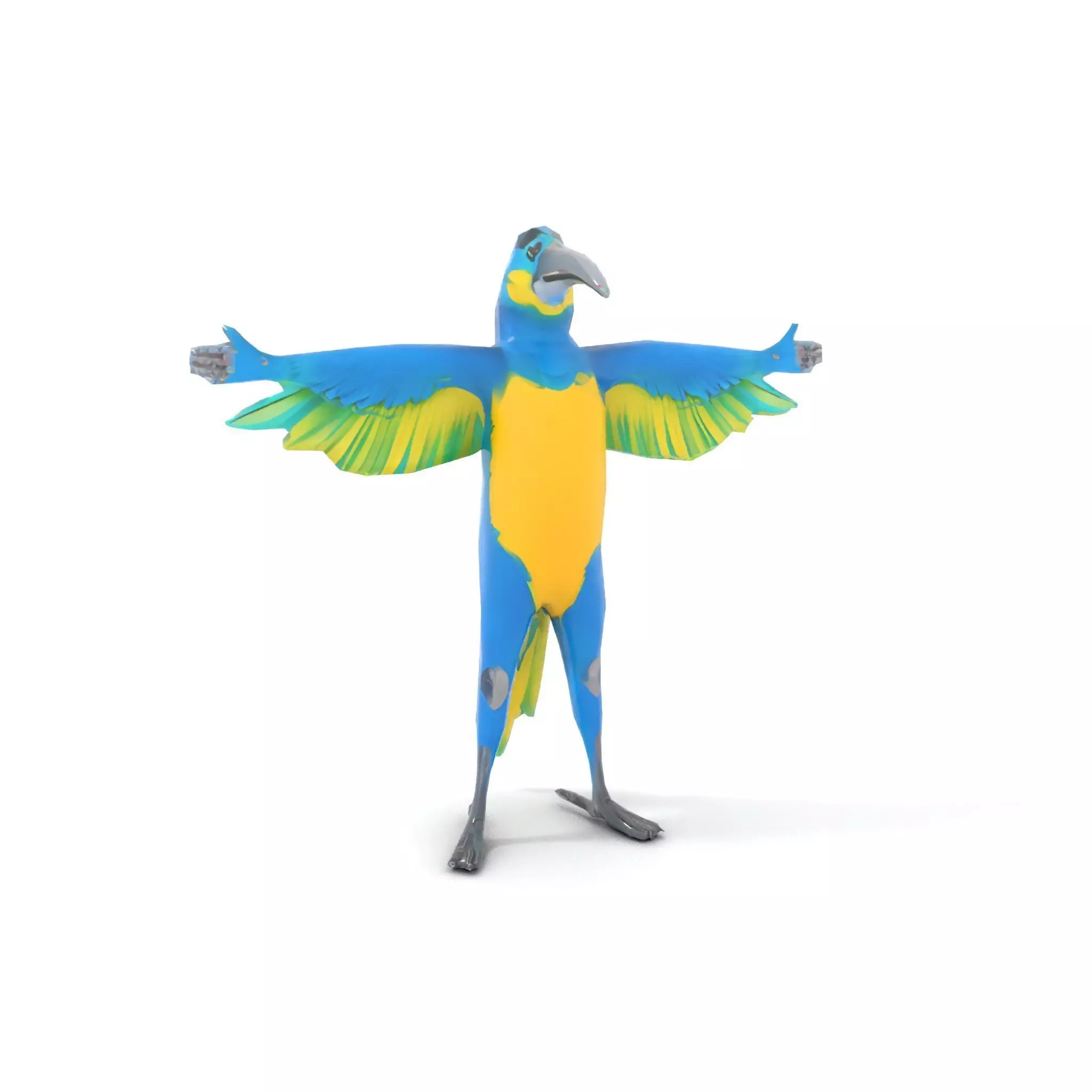 Cartoon Parrot Character Model Pack Low-poly 3D model_13