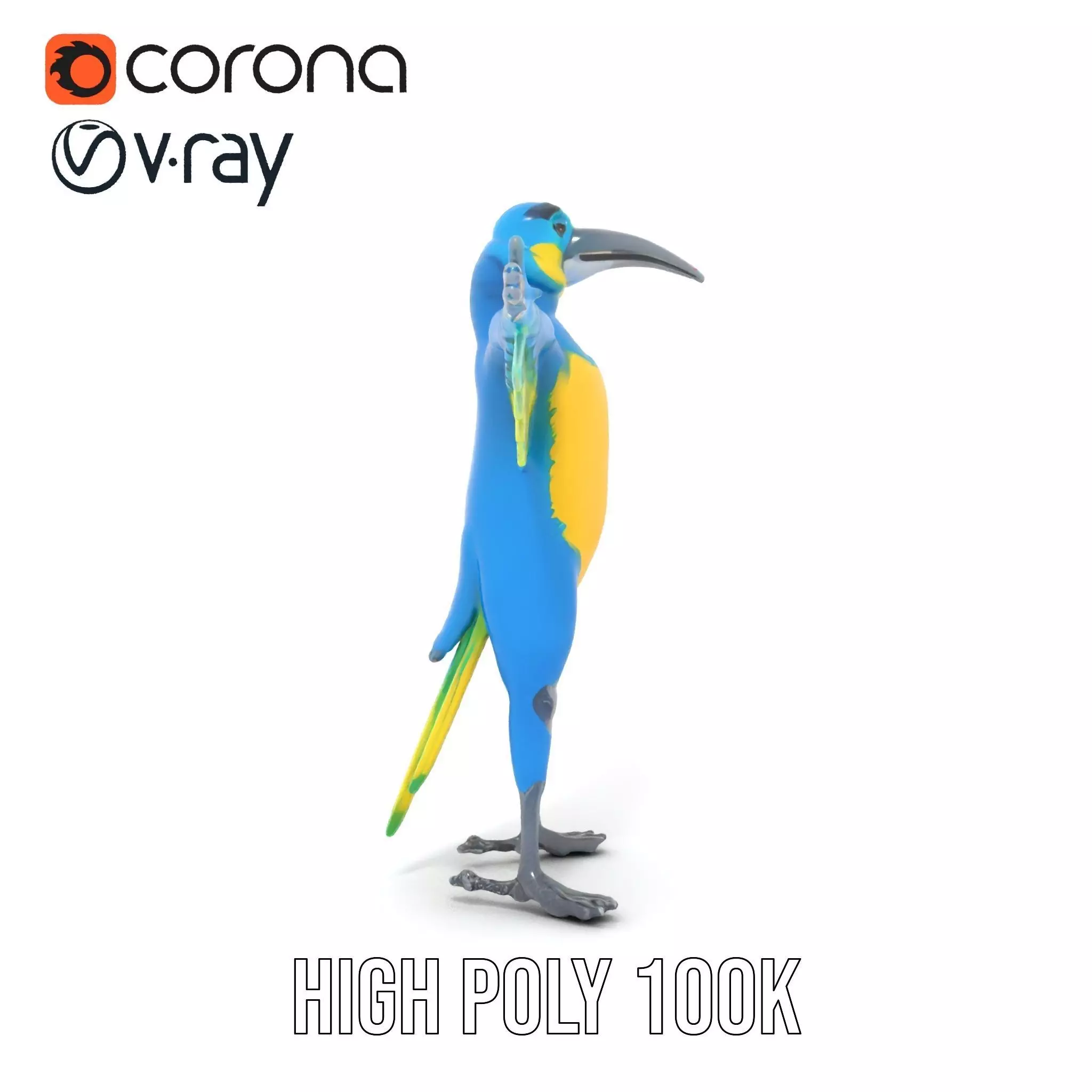 Cartoon Parrot Character Model Pack Low-poly 3D model_22