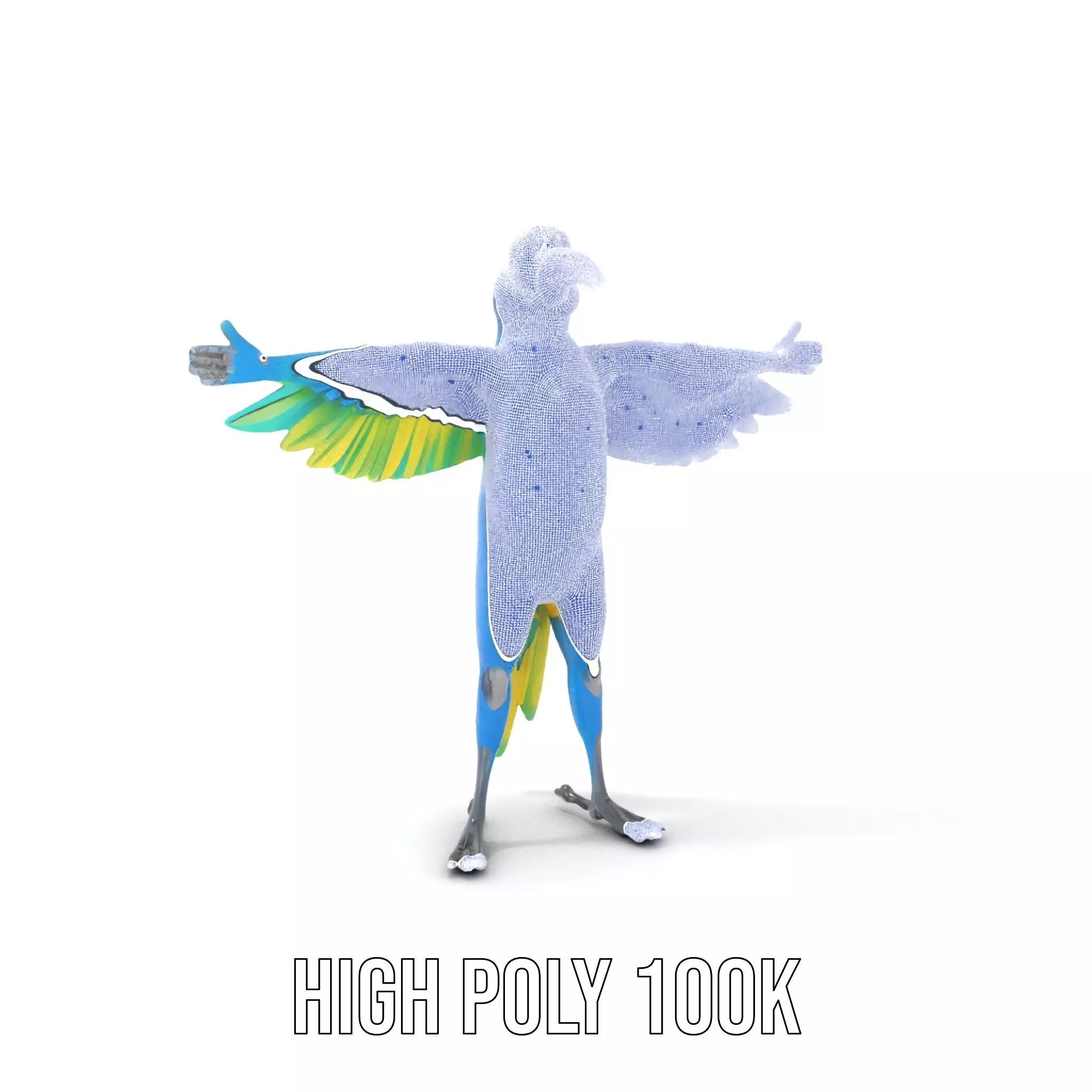 Cartoon Parrot Character Model Pack Low-poly 3D model_4