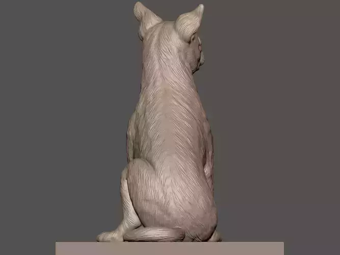 Chihuahua dog 3D print model
