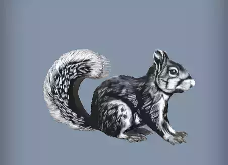 3d model of A sitting squirrel