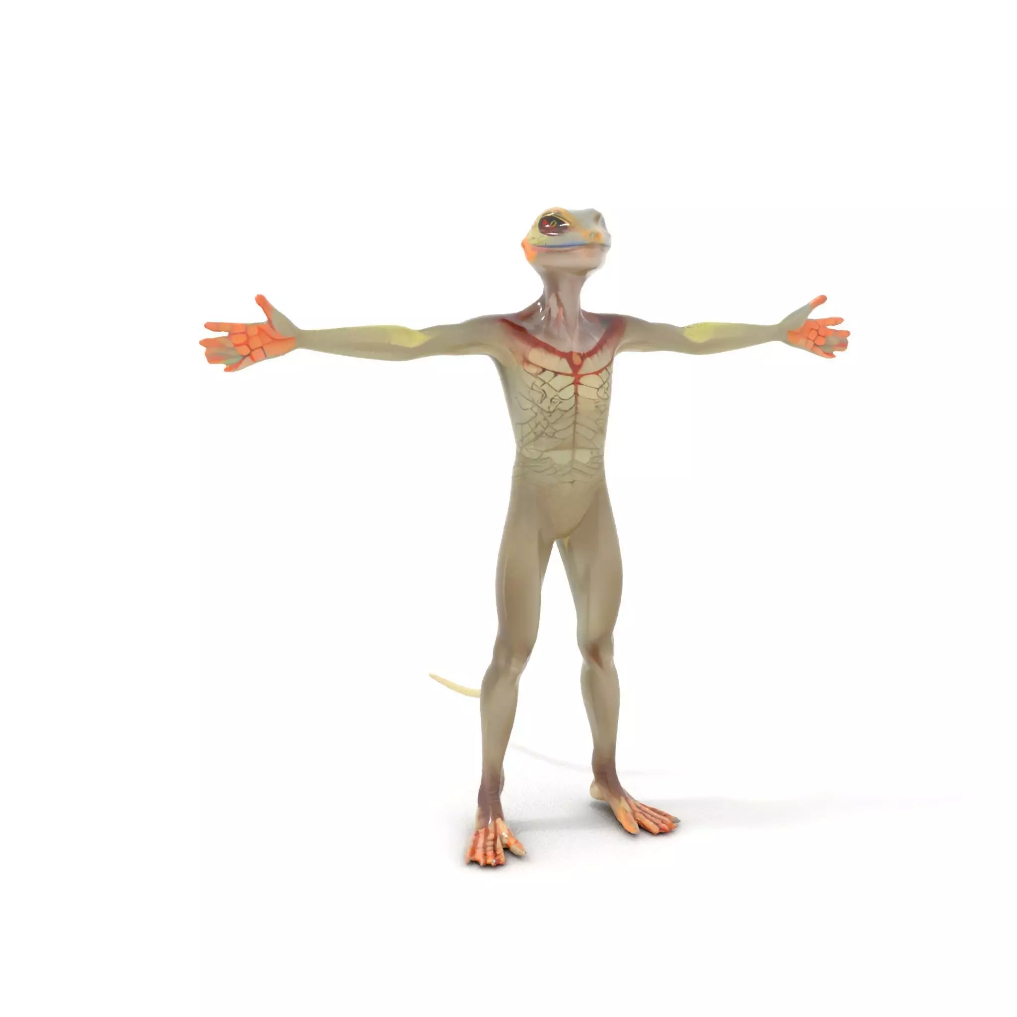 Anthropomorphic Lizard Model Pack for Game and Animation Low-poly 3D model_10