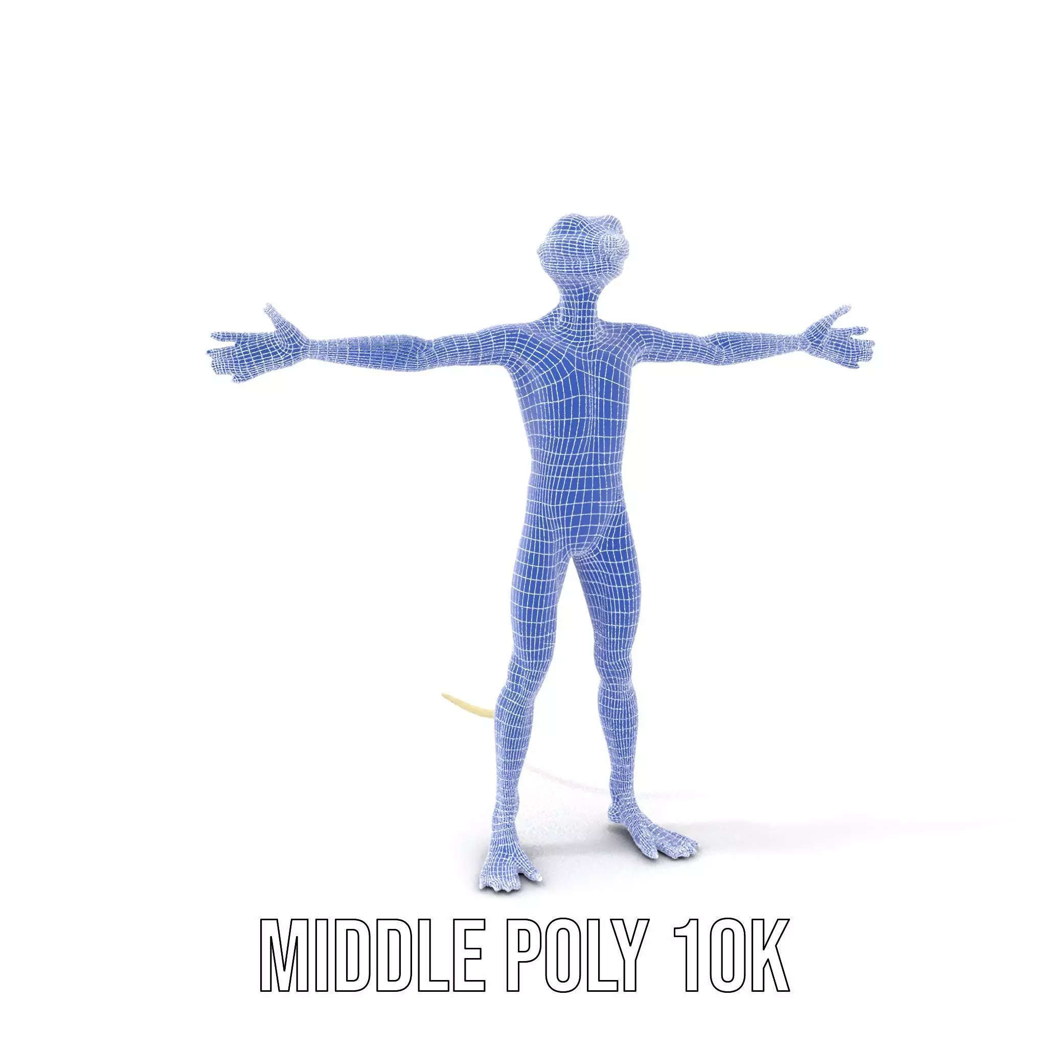 Anthropomorphic Lizard Model Pack for Game and Animation Low-poly 3D model_27