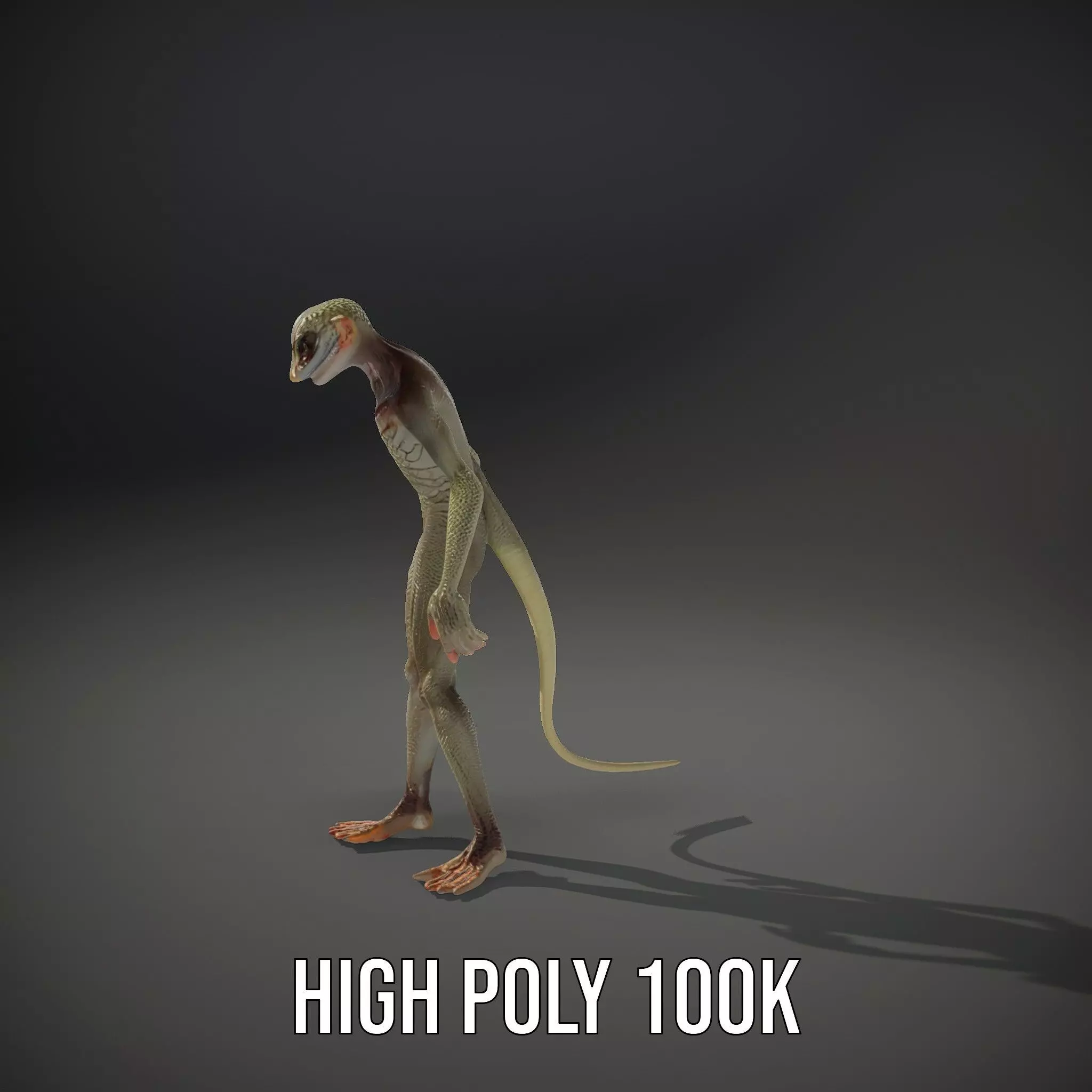 Anthropomorphic Lizard Model Pack for Game and Animation Low-poly 3D model_26