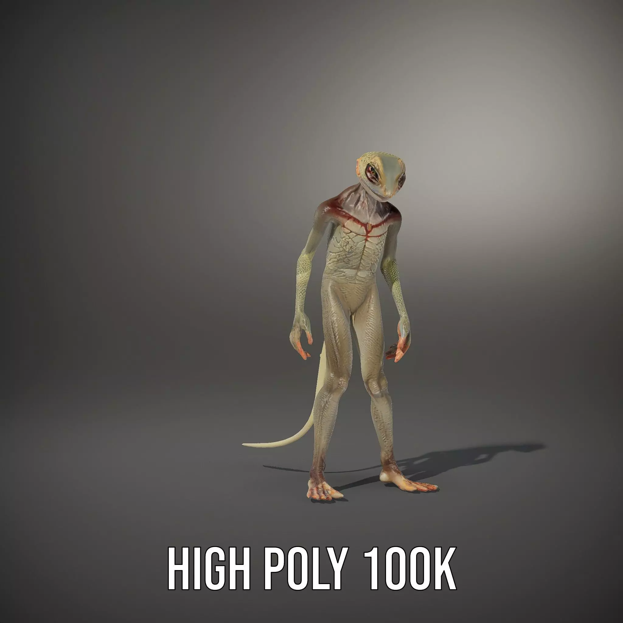 Anthropomorphic Lizard Model Pack for Game and Animation Low-poly 3D model_12
